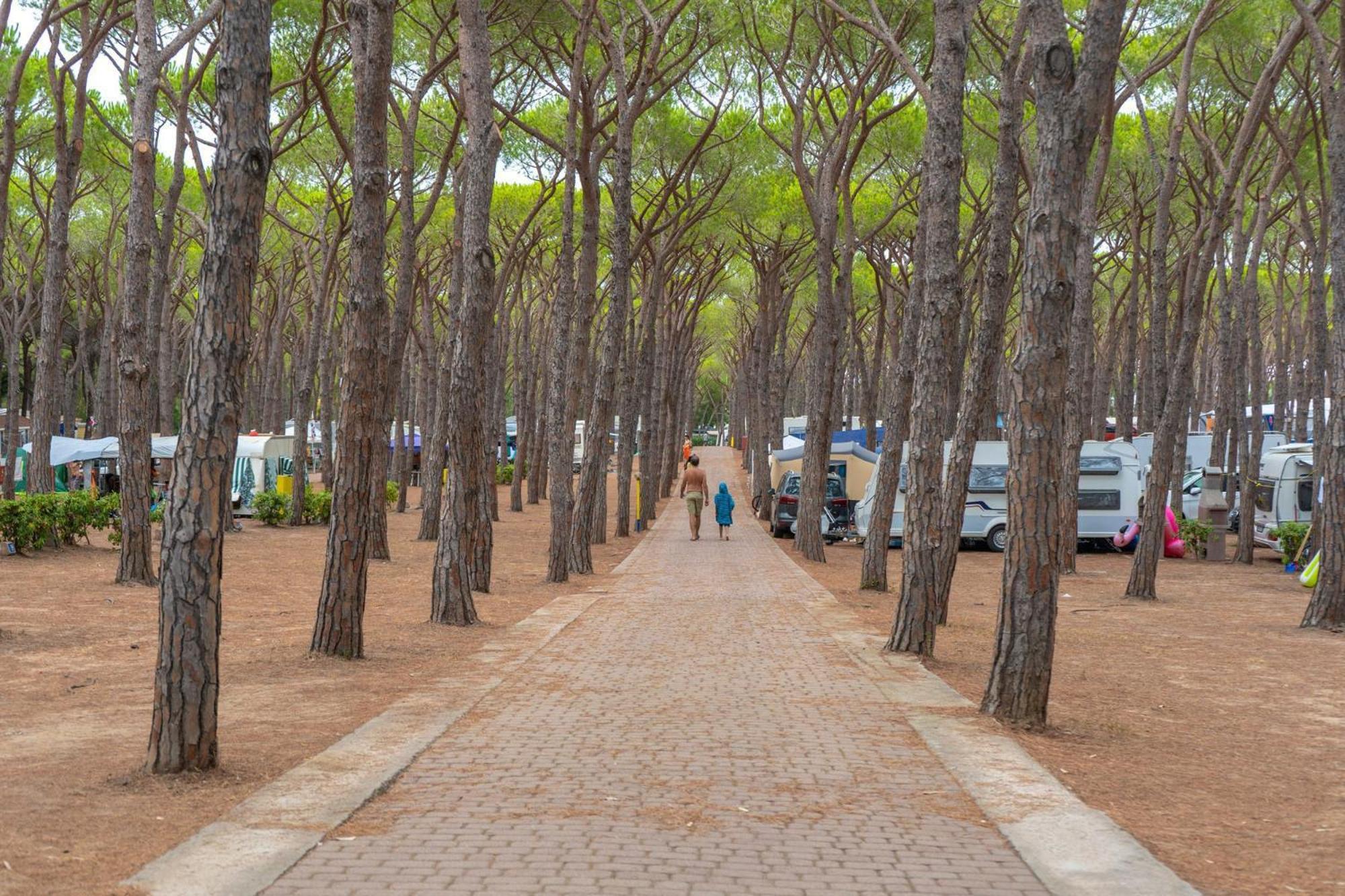 Camping Village Baia Blu La Tortuga Aglientu Buitenkant foto